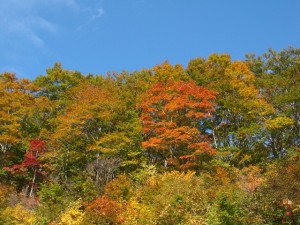 2012.10.25　交流サロン～秋の遠足